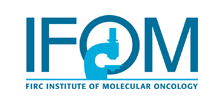 IFOM logo