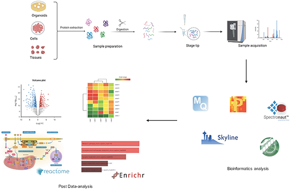 Foundations of Proteomics, Methods and Technologies for Analysing Qualitative