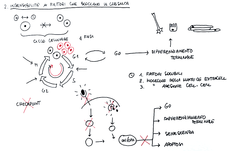 introduzione collana video caratteristiche cellule tumorali