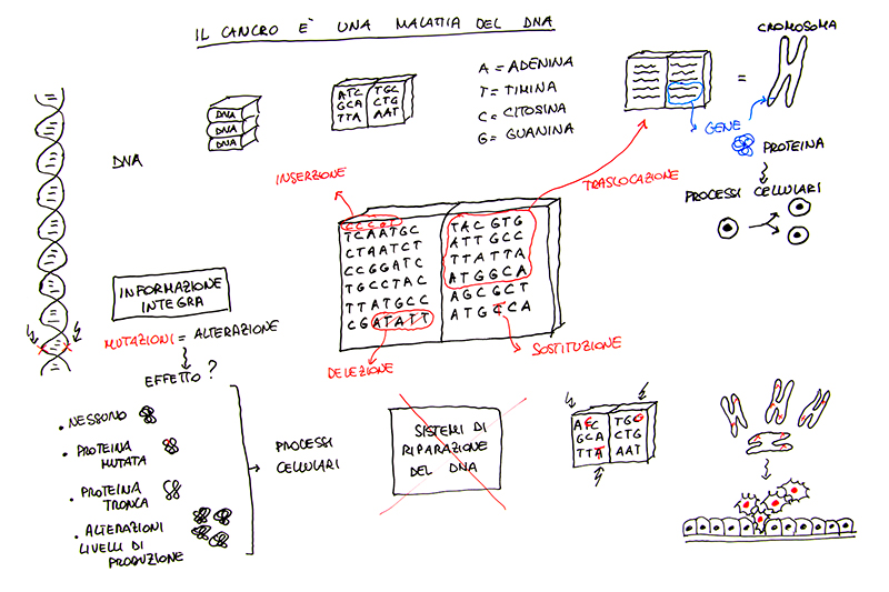 introduzione collana video Predisposizione al cancro e test genetici