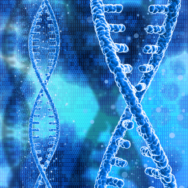 Functional Genomics Screening Unit