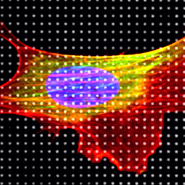 Cancer Engineering R&D