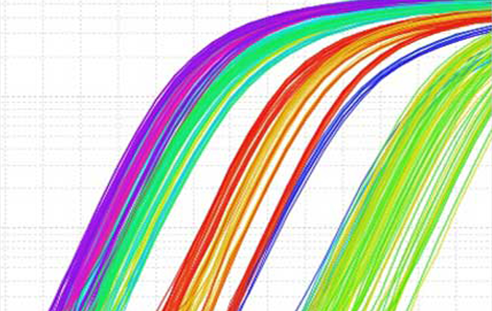 Quantitative PCR