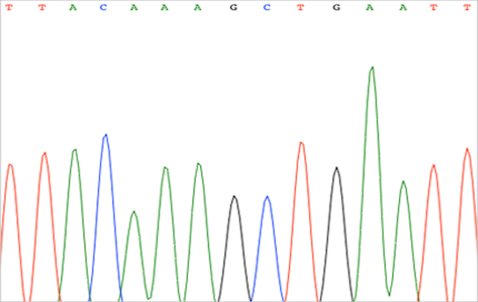 DNA Sanger Sequencing