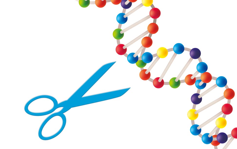 IFOM Molecular scissors « Educational labs « Experience with us