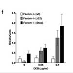 review article