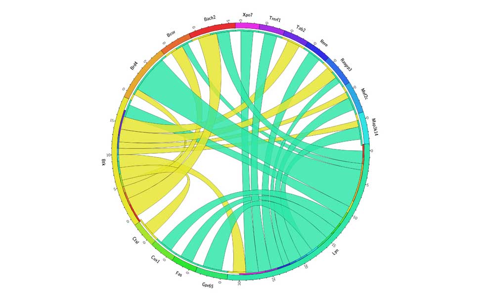 Epigenetics of B-lymphocytes and lymphomas