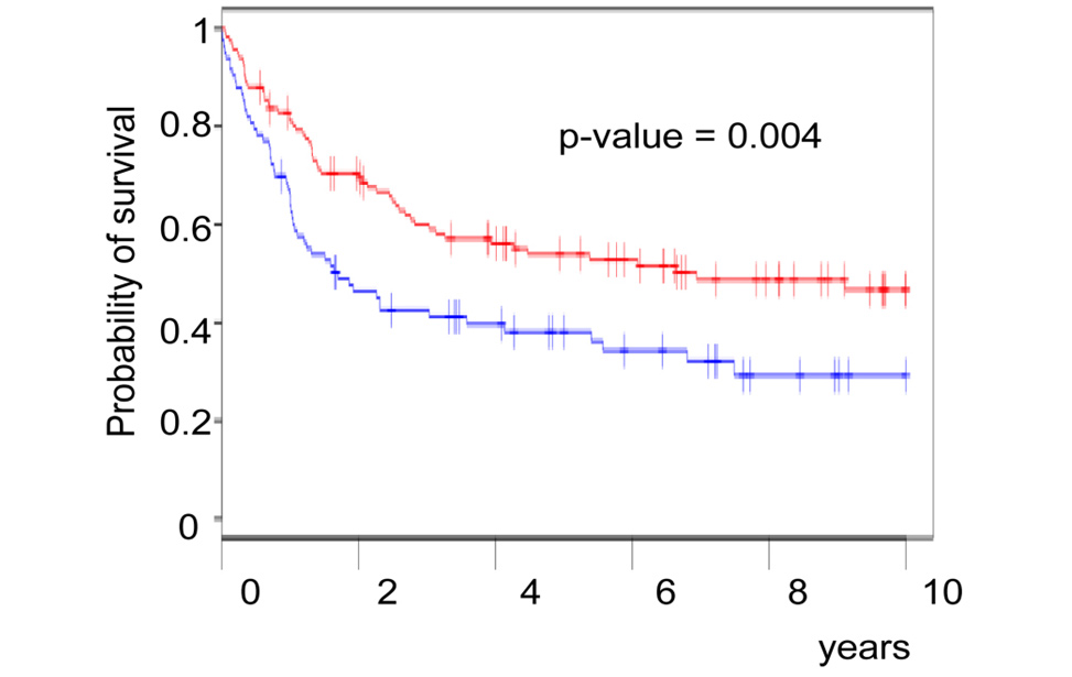 Novel prognostic factors in Diffuse Large B-cell lymphomas