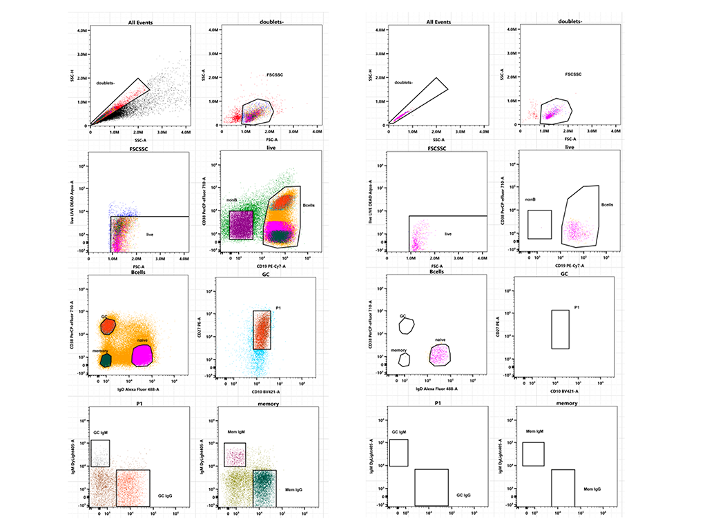 Gallery flow-cytometry